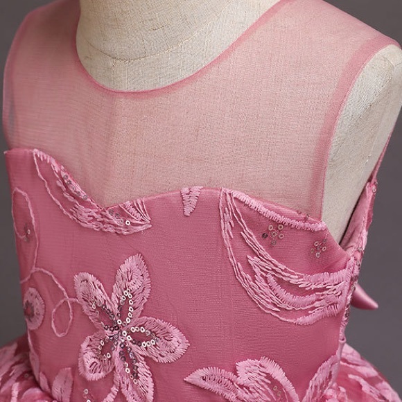 Luxury Special Occasion Embroidered Flower Girl Dress 5042 - Picture 4 of 5
